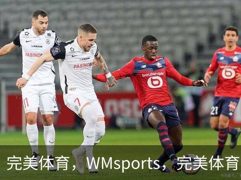 走进完美体育，WMsports，完美体育官方，完美体育平台，完美体育下载